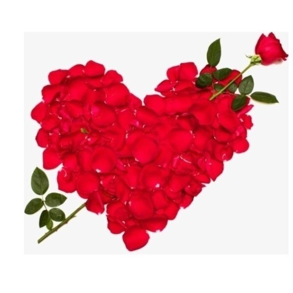 Titrat, agreabil pentru prietenie, casatorie