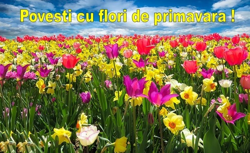 Titrat, agreabil pentru prietenie, casatorie