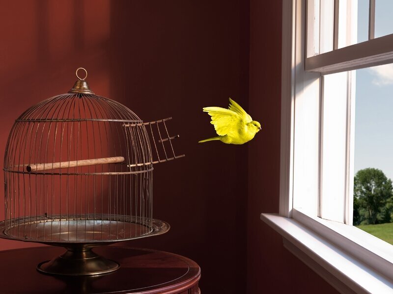 Titrat, agreabil pentru prietenie, casatorie